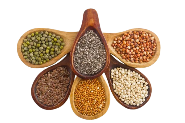 Millet-Based Products